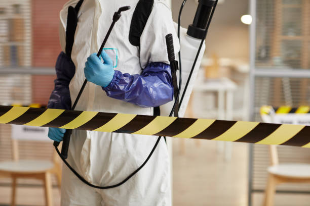 Professional Sewage Cleanup technician working in Pickett, WI